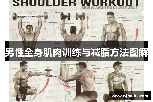 男性全身肌肉训练与减脂方法图解